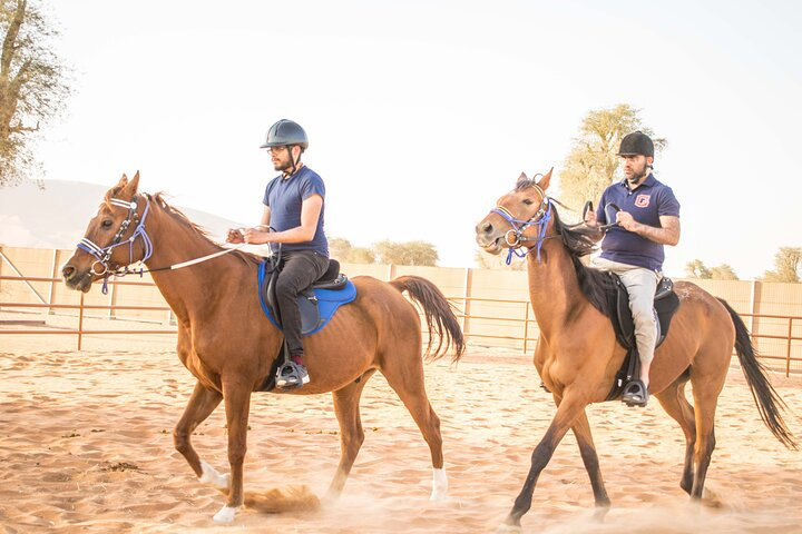 Experience the stunning Mleiha landscape on horseback with breathtaking views of Fossil Rock and Faya Mountain while enjoying the unique cultural richness of the Sharjah region.